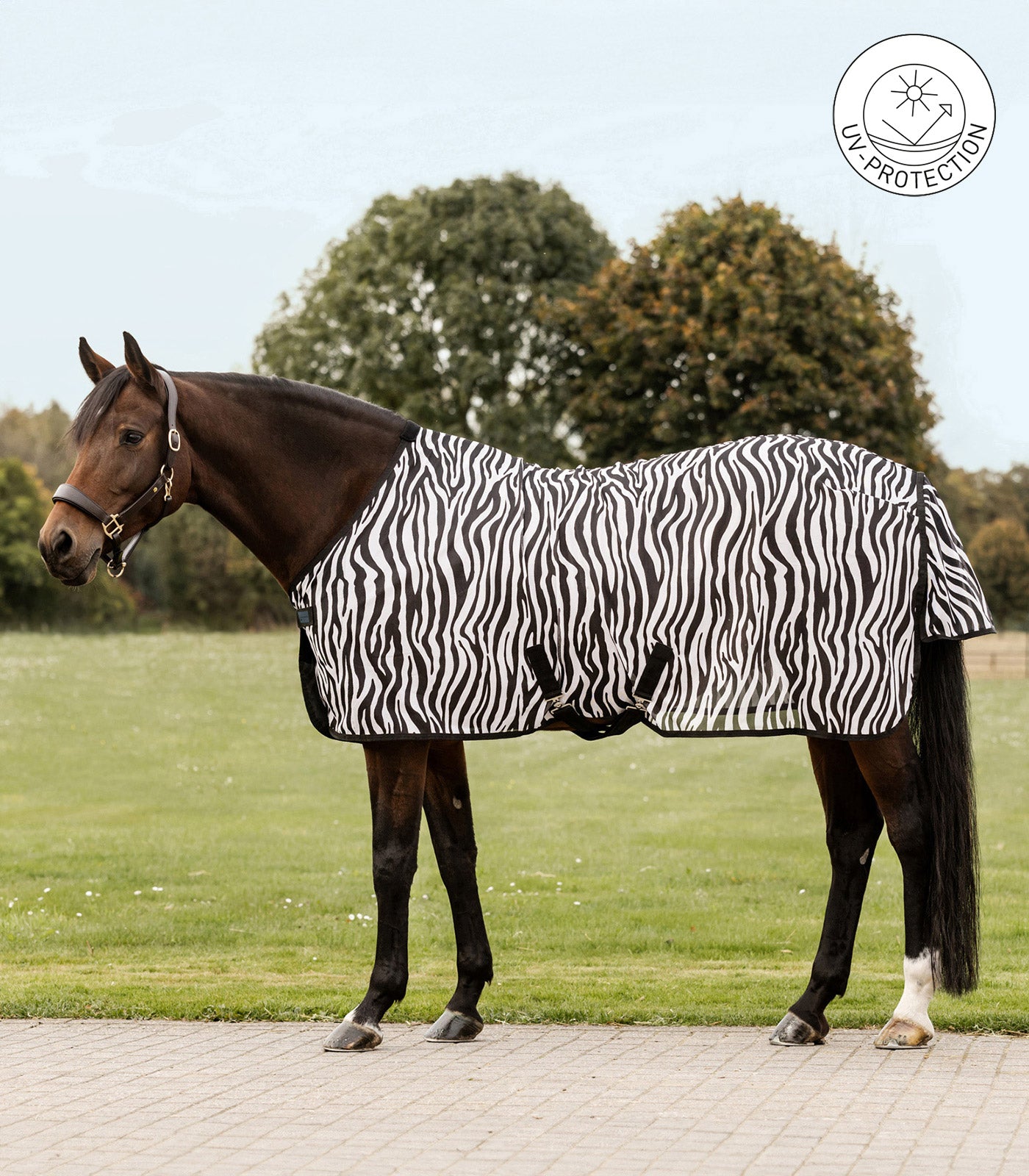 Couverture anti-mouches Zebra avec sangles croisées, noir-blanc