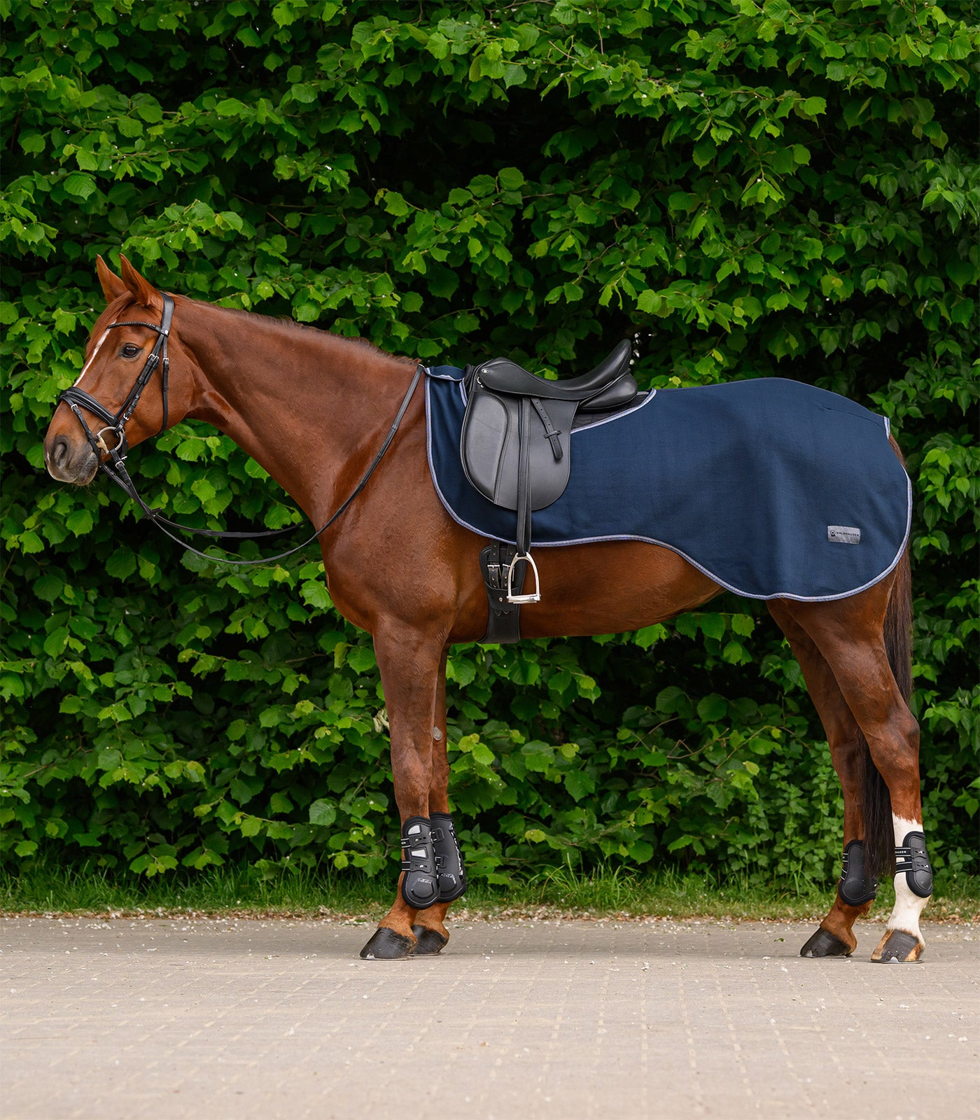 ECONOMIC Chemise en polaire