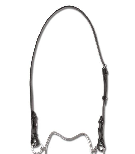 Têtière cuir pour chifney