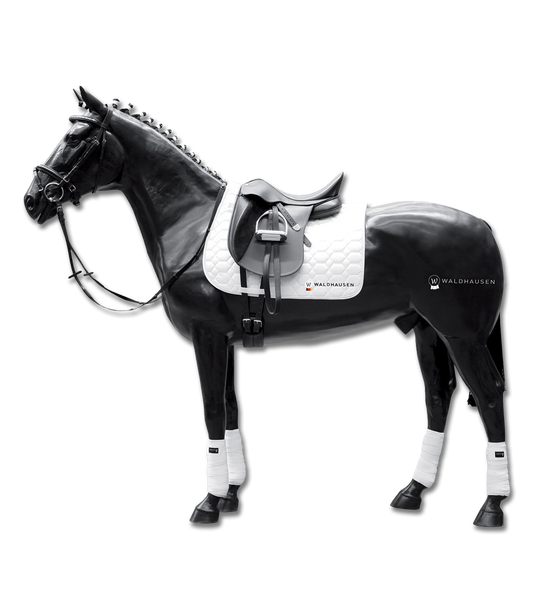 Cheval de type pur-sang