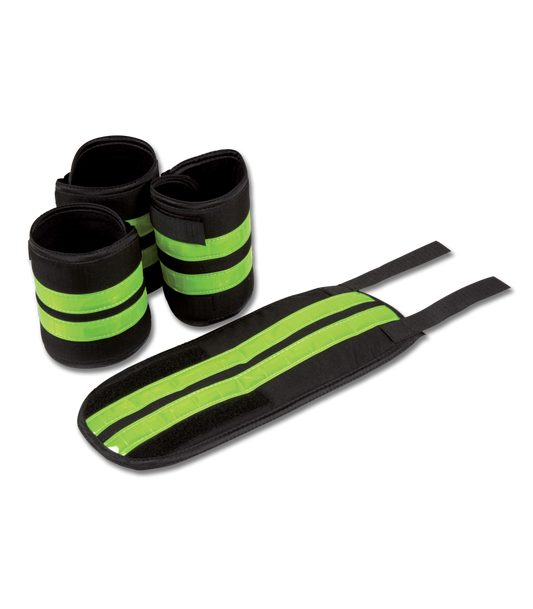 Bandes REFLEX, ensemble