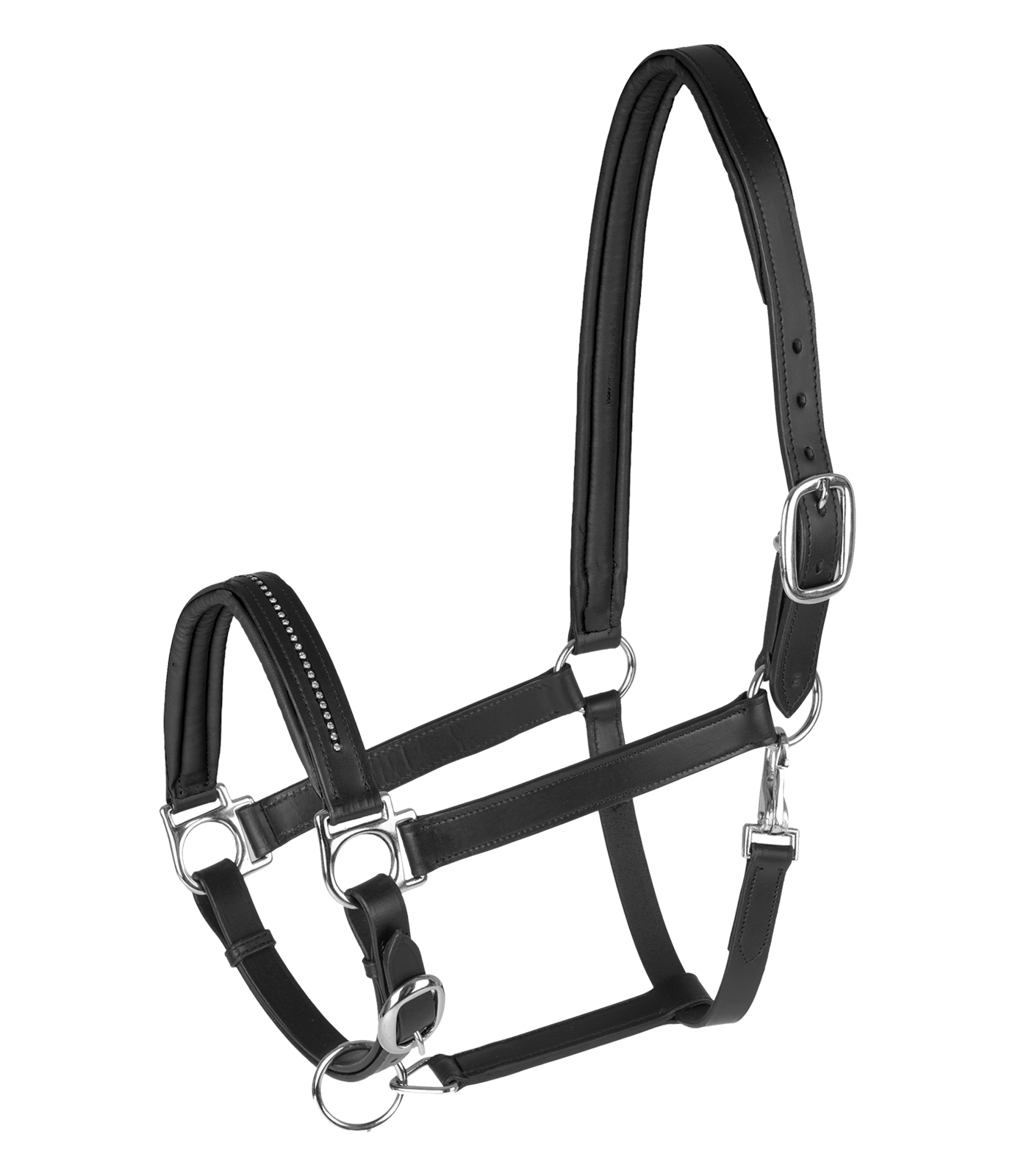 STAR Licol en cuir Diamond, noir-argent