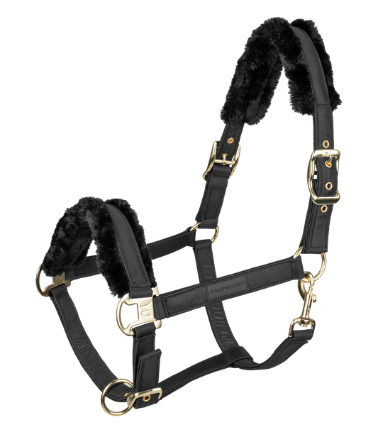Licol Exclusive, noir-noir, Cob