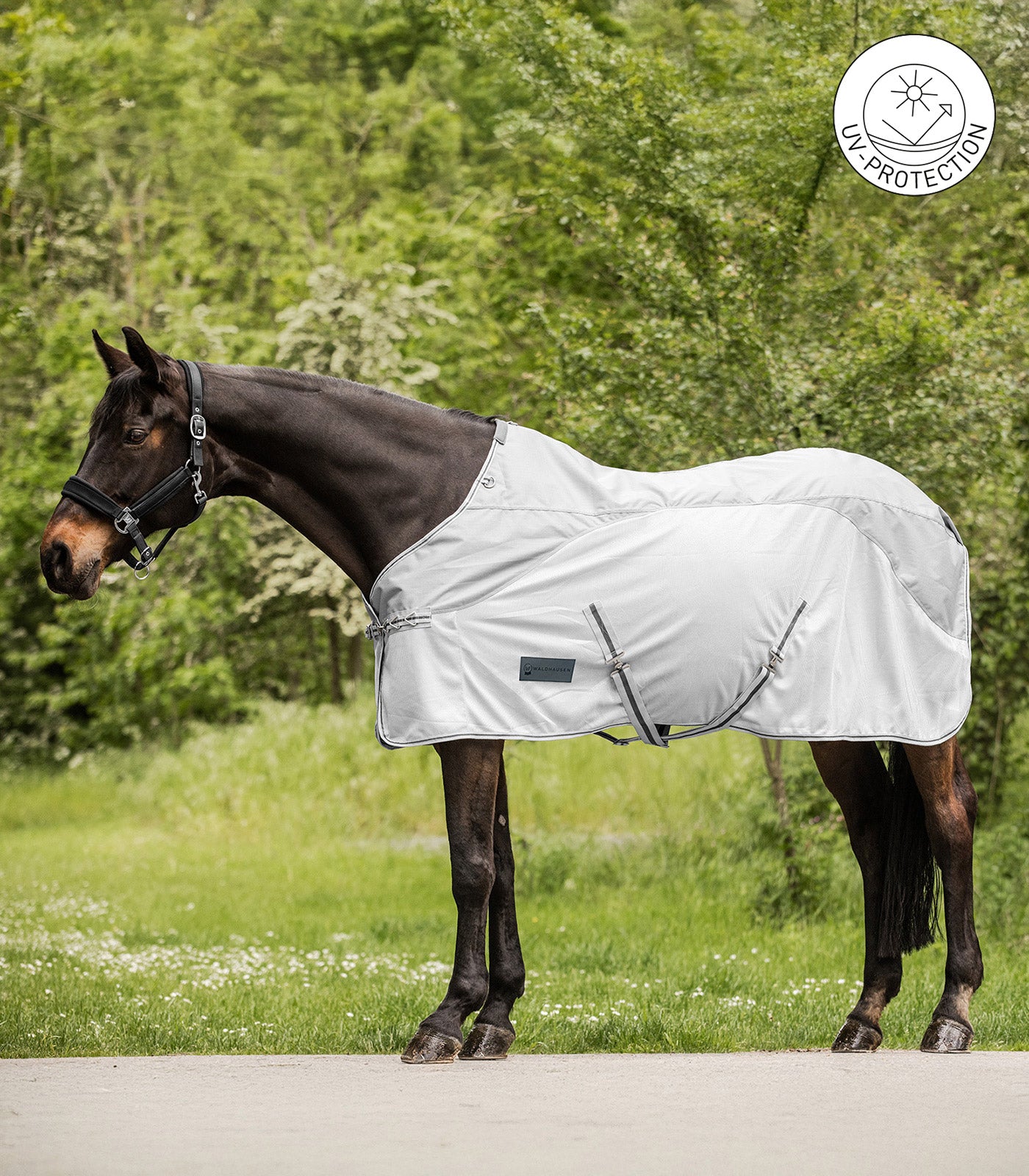 PROTECT Couverture de pluie anti-mouche, gris argent-gris
