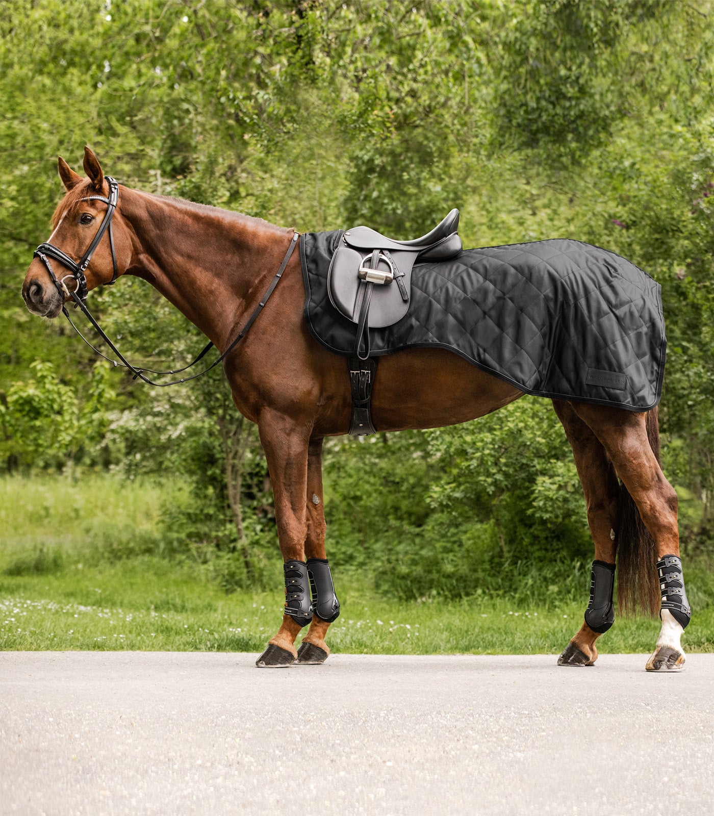 Couvre-reins EXCLUSIVE, 50 g