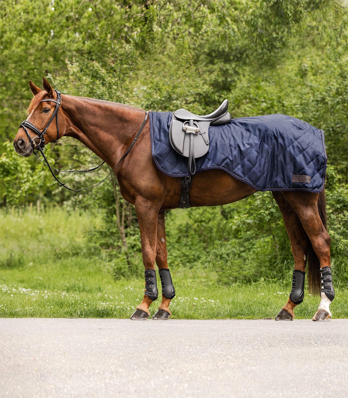 Couvre-reins EXCLUSIVE, 50 g