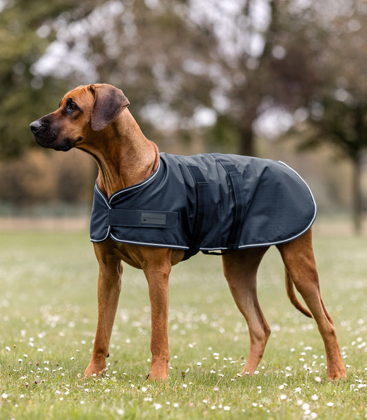 Couverture de pluie pour chiens