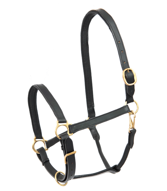 Licol en Cuir STAR Robust