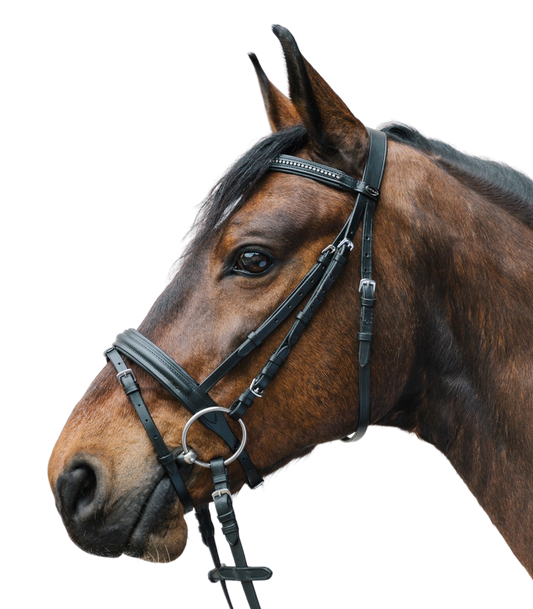 Bridon STAR Diamond