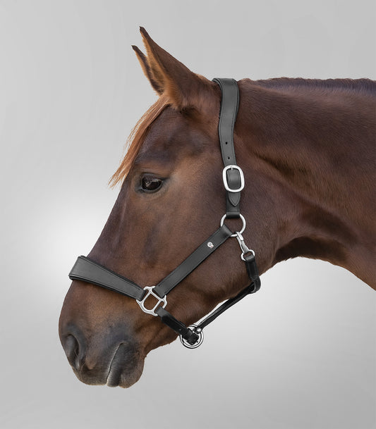 Waldhausen S-Line Licol en cuir Anatomic, Cob