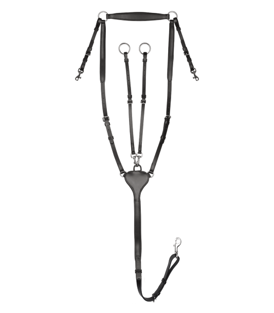 Waldhausen X-Line Collier de chasse Professional, Cob