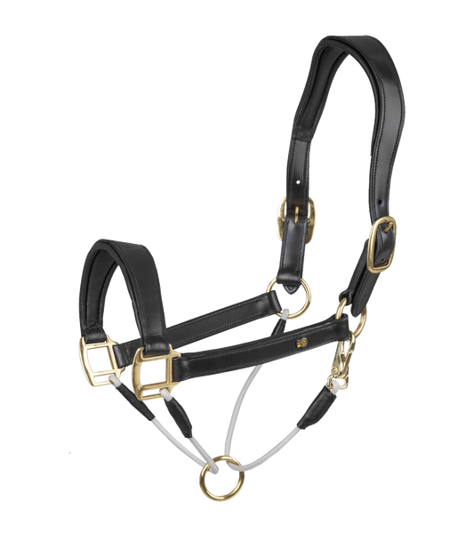 Licol en cuir Waldhausen S-Line Royal, Cob