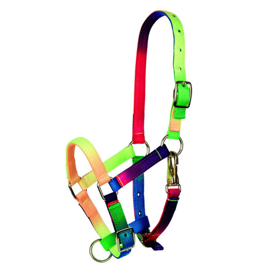 Licol multicolore Tattini pour poney