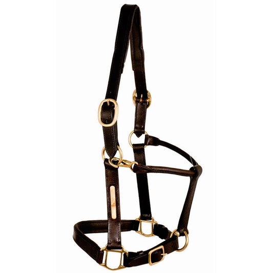 Licol en cuir double peau Tattini