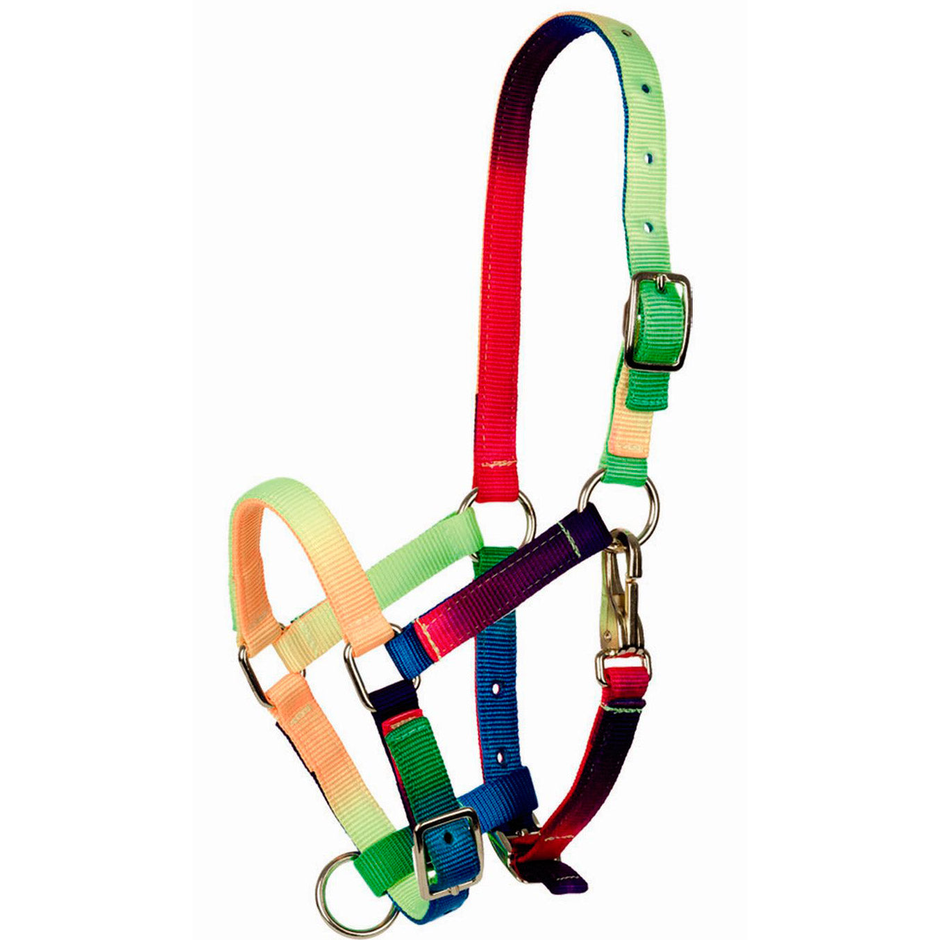 Licol multicolore Tattini pour poulain